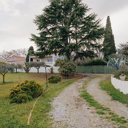 Les Gites De Ginestas מראה חיצוני תמונה